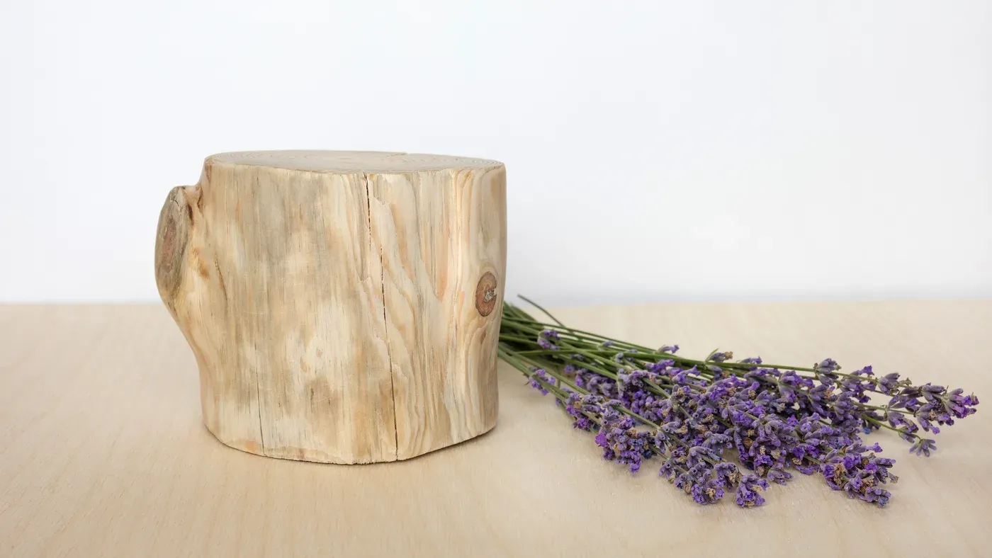Lavendel med förvedad bas