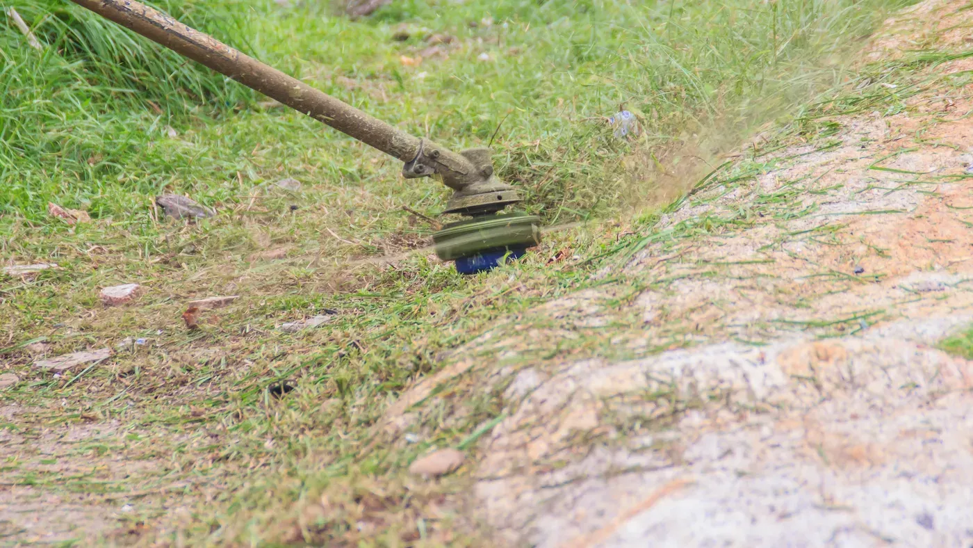 Grastrimmer